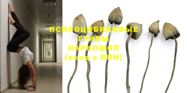 мяу мяу мука Кодинск