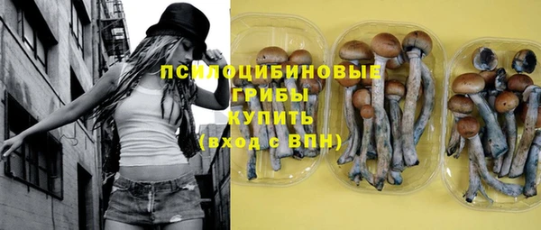 крисы Михайлов