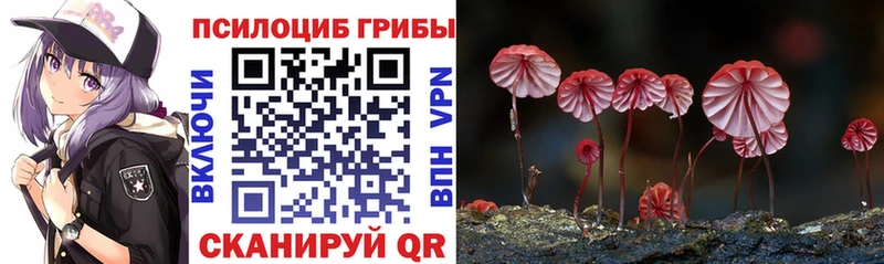 blacksprut ССЫЛКА  Колпашево  Псилоцибиновые грибы ЛСД 
